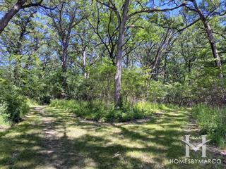 Red Gate Woods Forest Preserve in Lemont, IL