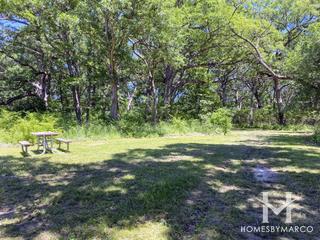 Red Gate Woods Forest Preserve in Lemont, IL