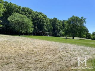 Red Gate Woods Forest Preserve in Lemont, IL
