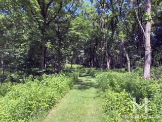 Sagawau Canyon Nature Preserve in Lemont, IL
