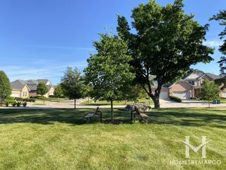 Photos of Ashbury Woods Park in Lemont, IL
