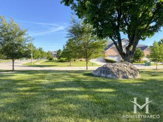Ashbury Woods Park in Lemont, IL