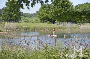Independence Grove Forest Preserve in Libertyville, IL