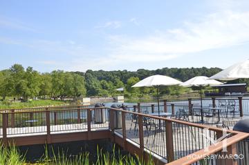 Independence Grove Forest Preserve in Libertyville, IL