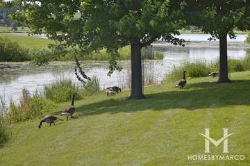 Independence Grove Forest Preserve in Libertyville, IL