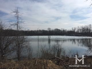 Independence Grove Forest Preserve in Libertyville, IL