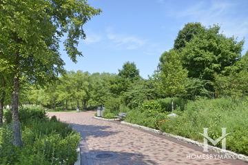 Independence Grove Forest Preserve in Libertyville, IL