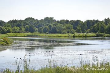 Independence Grove Forest Preserve in Libertyville, IL
