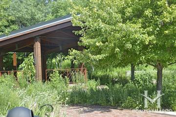 Independence Grove Forest Preserve in Libertyville, IL