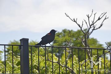 Independence Grove Forest Preserve in Libertyville, IL