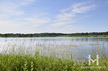 Independence Grove Forest Preserve in Libertyville, IL