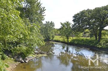 Independence Grove Forest Preserve in Libertyville, IL
