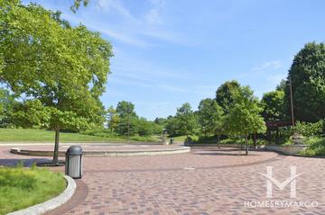 Independence Grove Forest Preserve in Libertyville, IL