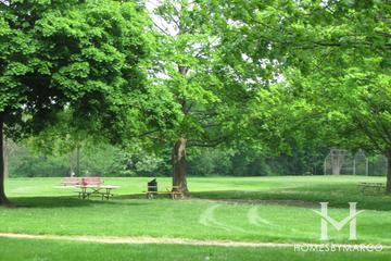 Adler Memorial Park in Libertyville, IL
