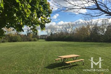 Paul M. Neal Park in Libertyville, IL