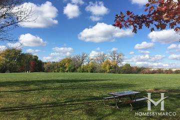 Willis Overholser Park in Libertyville, IL