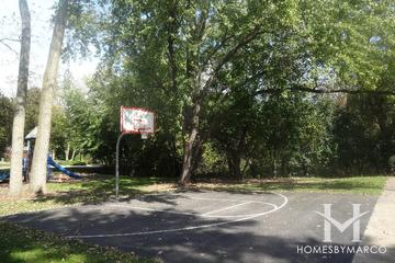 Blueberry Park in Libertyville, IL