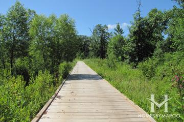 Florsheim Nature Preserve in Lincolnshire, IL