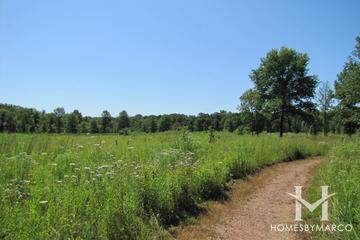 Florsheim Nature Preserve in Lincolnshire, IL