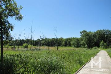 Florsheim Nature Preserve in Lincolnshire, IL