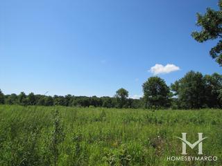 Florsheim Nature Preserve in Lincolnshire, IL