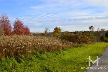 McDonald Woods Forest Preserve in Lindenhurst, IL