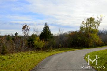 McDonald Woods Forest Preserve in Lindenhurst, IL