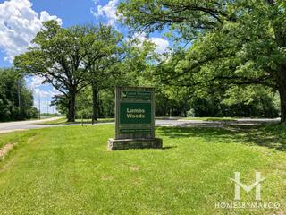 Lambs Woods Forest Preserve in Lockport, IL