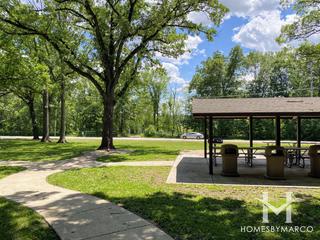 Lambs Woods Forest Preserve in Lockport, IL
