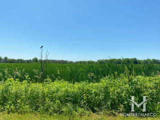 Lockport Prairie Nature Preserve in Lockport, IL