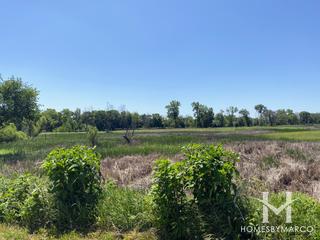 Lockport Prairie Nature Preserve in Lockport, IL
