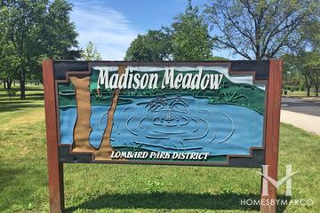Photos of Madison Meadow Park in Lombard, IL