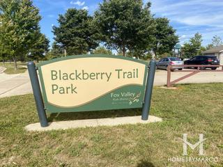 Photos of Blackberry Trail Park in Montgomery, IL
