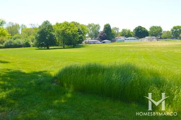 Photos of Sandburg Park in Mundelein, IL
