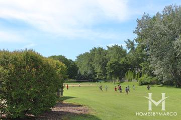 Lake Louise Elementary School in Palatine, IL