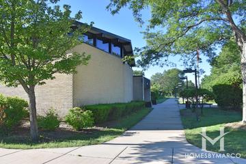 Field School in Northbrook, IL