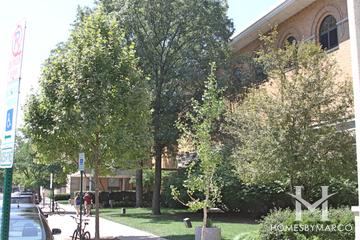 Oak Park and River Forest High School in Oak Park, IL