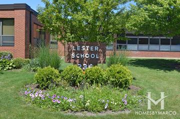 Lester Elementary School in Downers Grove, IL