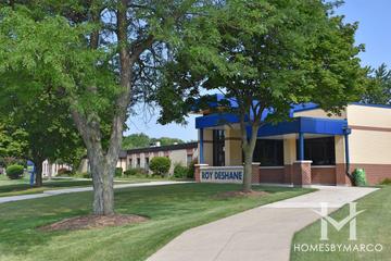 Photos of Roy De Shane Elementary School in Carol Stream, IL