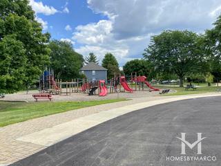 River Woods Elementary School in Naperville, IL