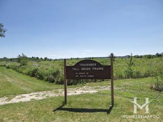 Traughber Junior High School in Oswego, IL