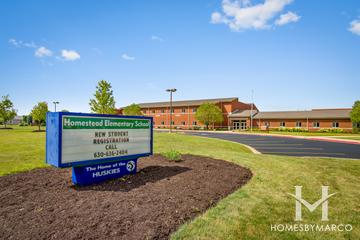 Photos of Homestead Elementary School in Aurora, IL