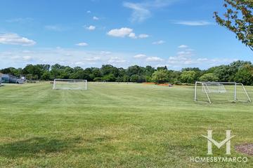 Adlai E Stevenson High School in Lincolnshire, IL