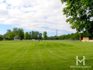 Reed Elementary School in Homer Glen, IL