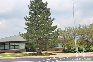 Nelson Prairie School in New Lenox, IL