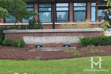 Nelson Prairie School in New Lenox, IL