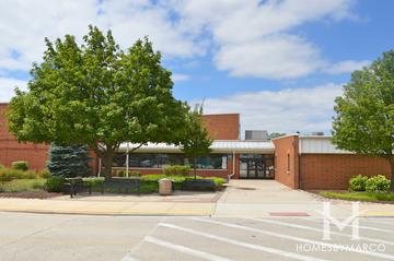 Jonas E Salk Elementary School in Bolingbrook, IL