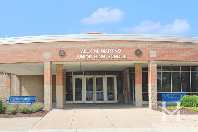 Alex M Martino Junior High School in New Lenox, IL