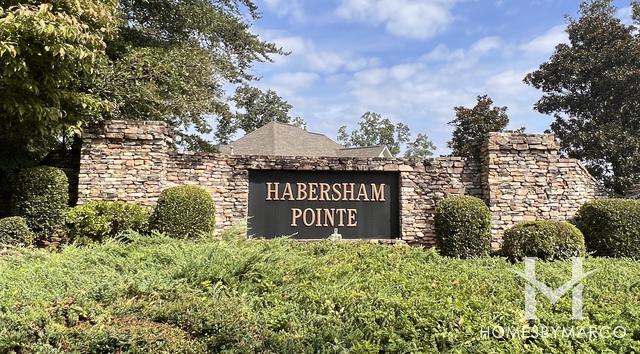 Photos of Overlook at Habersham Pointe subdivision in Cumming, GA
