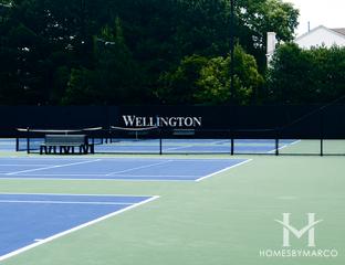 The Regency at Wellington subdivision in the Wellington neighborhood of Johns Creek, GA